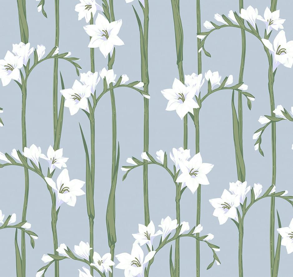 Loymina Origins Als2 008 Gladiolus 10.05x100 Loymina Origins Als2 008 Gladiolus 10.05x100