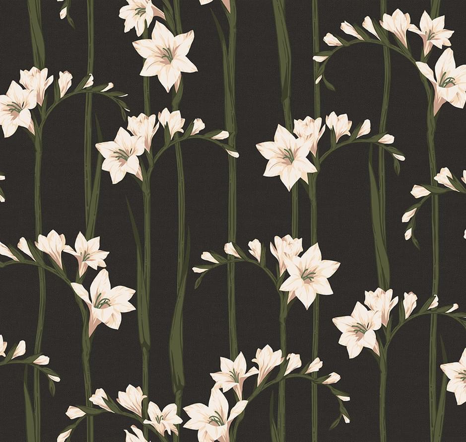 Loymina Origins Als2 011 Gladiolus 10x100