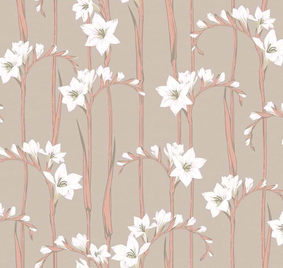 Loymina Origins Als2 012 Gladiolus 10x100