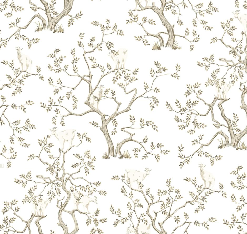 Loymina Origins Als5 001/1 Argania 10x100