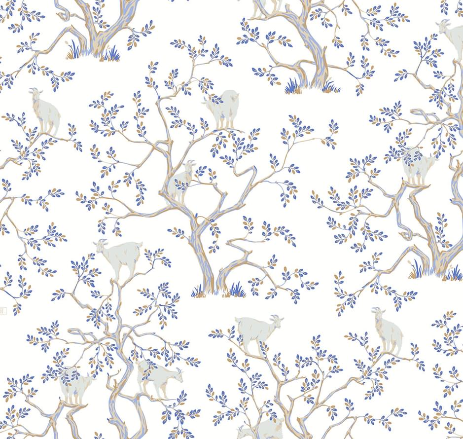 Loymina Origins Als5 001 Argania 10x100