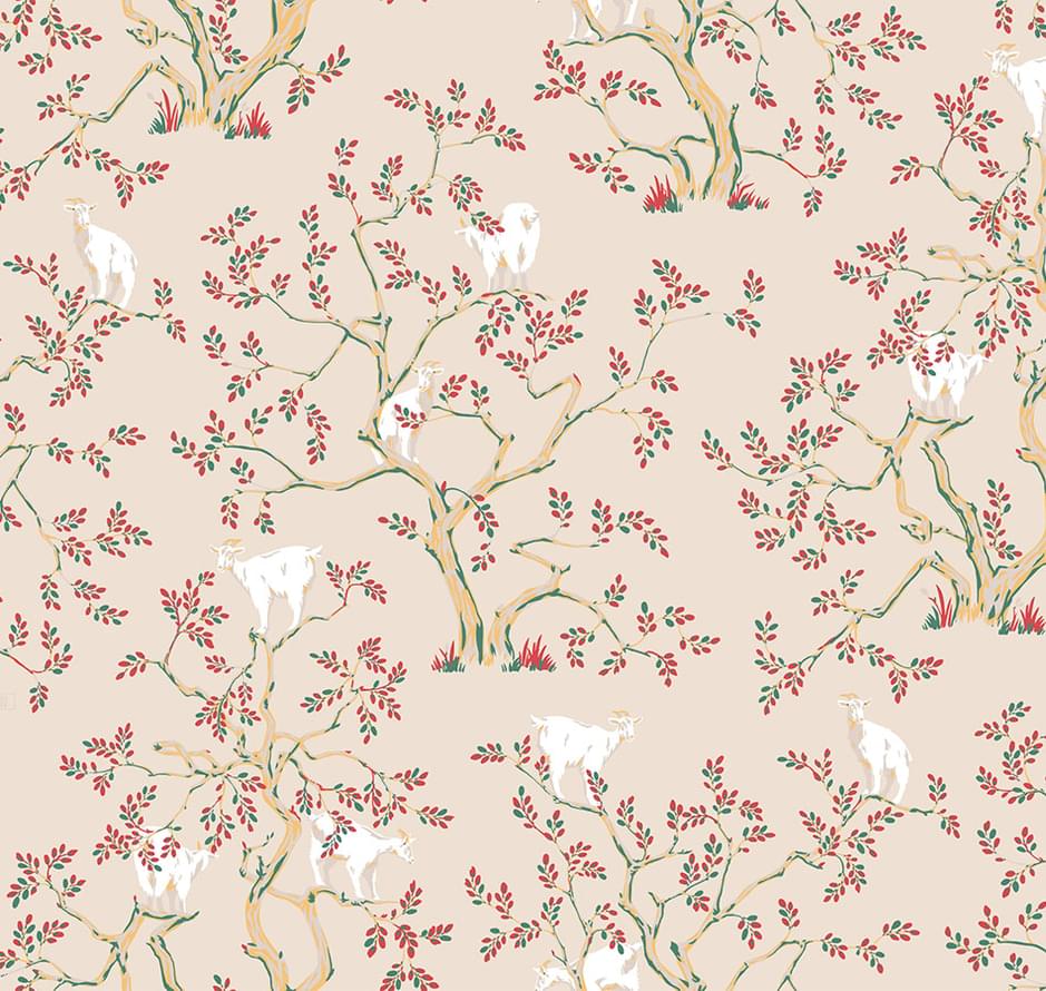 Loymina Origins Als5 002 Argania 10x100