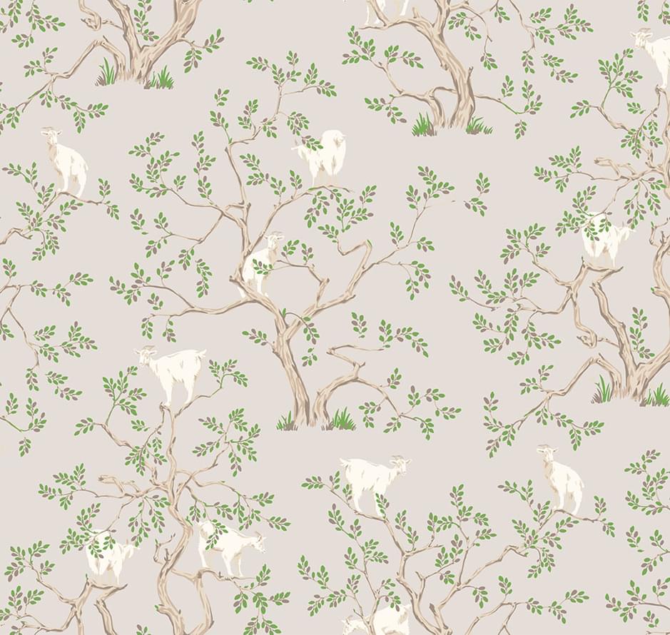 Loymina Origins Als5 008 Argania 10x100