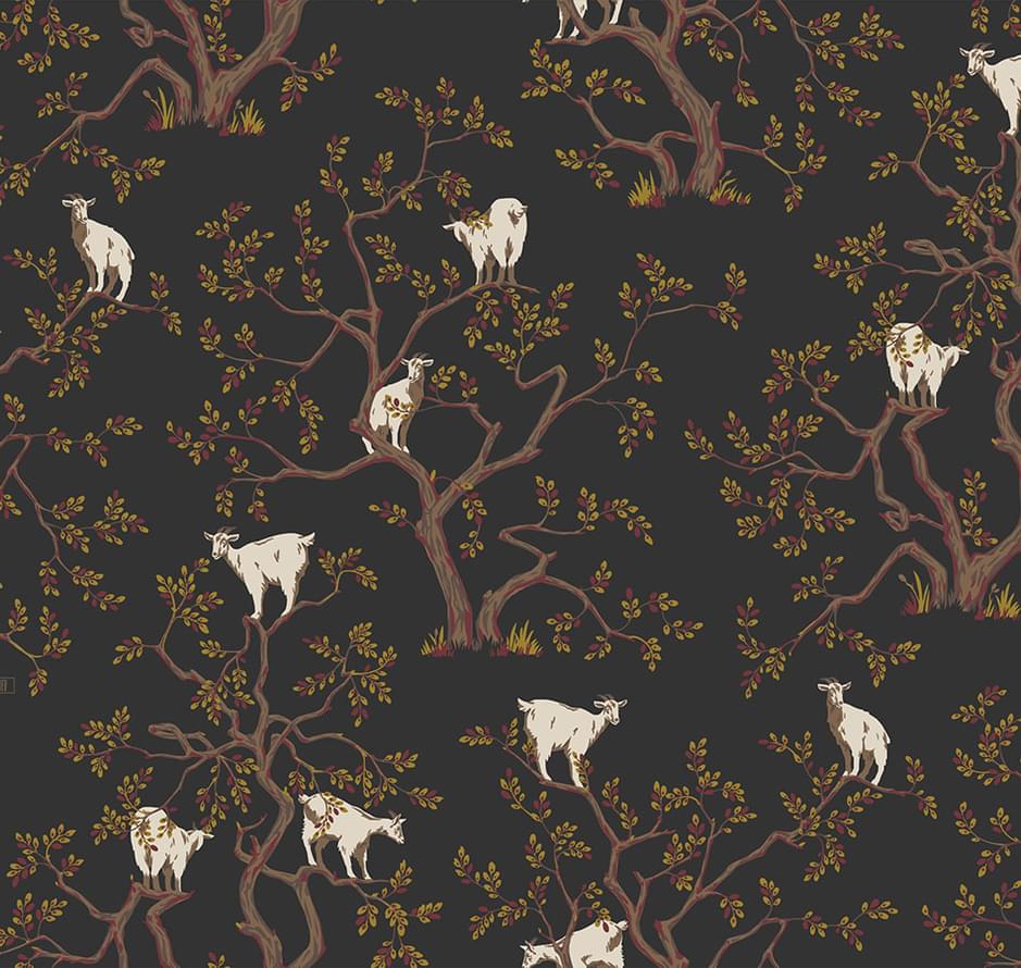 Loymina Origins Als5 011 Argania 10x100