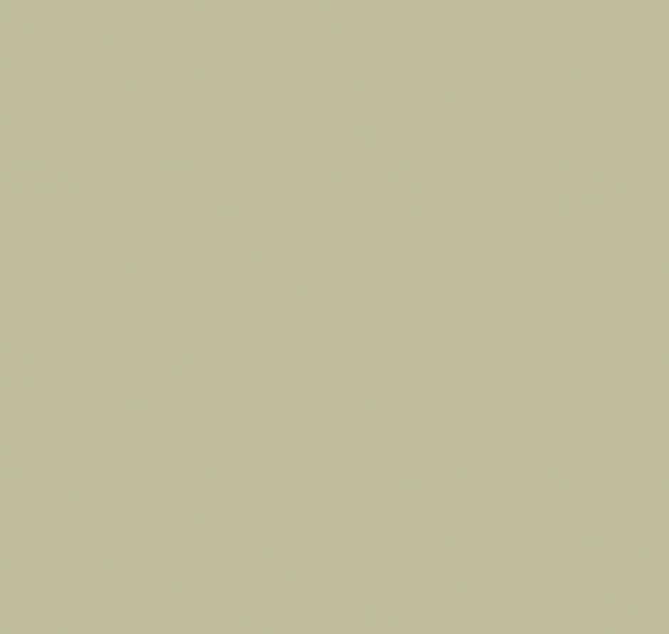 Loymina Renaissance Nk4 005 Textile 10x100 Loymina Renaissance Nk4 005 Textile 10x100