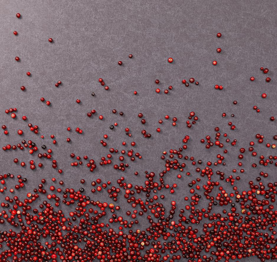 обои фабрики Loymina коллекция Shade Volume II