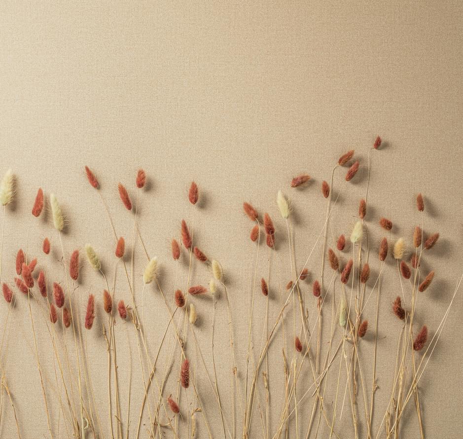 обои фабрики Loymina коллекция Shade Volume II