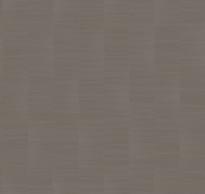 Loymina Shade Volume II Sdr2 009/1 Striped Tweed 10x100 см поверхность матовая