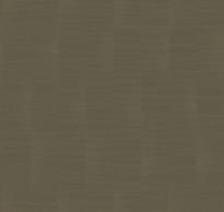 Loymina Shade Volume II Sdr2 014 Striped Tweed 10x100 см поверхность матовая