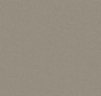 Loymina Shade Volume II Sdr3 009 Denim 10x100 см поверхность матовая
