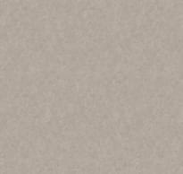 Loymina Shade Volume II Sdr5 002 Melton 10x100 см поверхность матовая