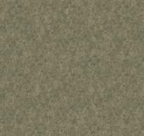 Loymina Shade Volume II Sdr5 004 Melton 10x100 см поверхность матовая