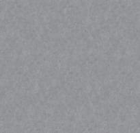 Loymina Shade Volume II Sdr5 008 Melton 10x100 см поверхность матовая