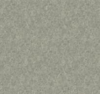 Loymina Shade Volume II Sdr5 009 Melton 10x100 см поверхность матовая