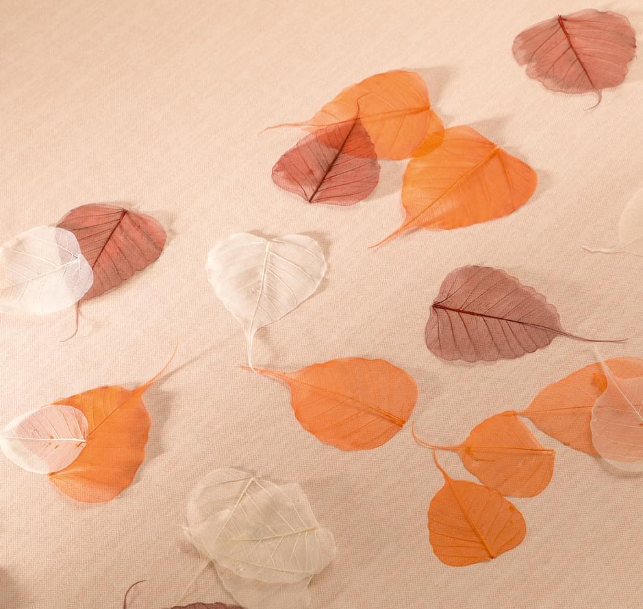 обои фабрики Loymina коллекция Shade