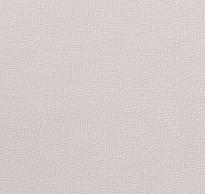 Loymina Wall Booster Wb Str23 001 10.05м x 100см поверхность матовая