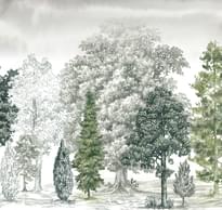 Loymina Пейзаж 2 Art14 005/1 Балтийская Коса 4 Полотна 3x400 см поверхность матовая