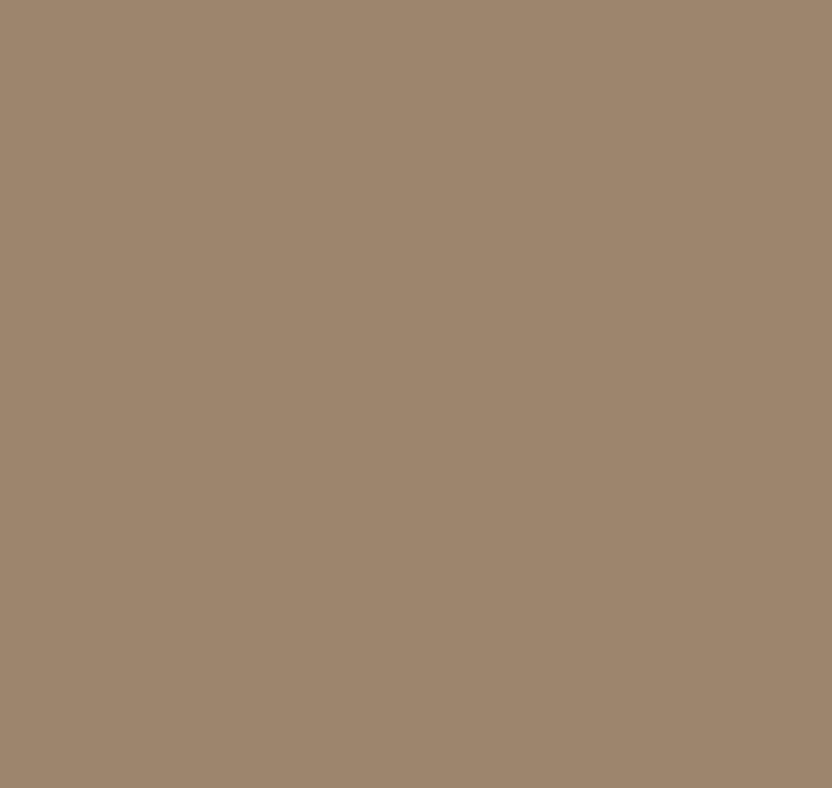 Loymina Шервуд Brit27 009 Тон 10x100