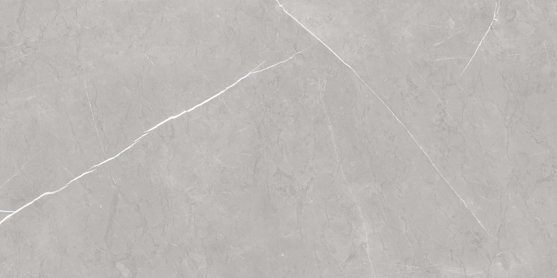 Плитка MDetails Stone Oriental Grey Matt 60x120 см, поверхность матовая