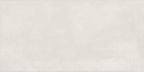 Плитка MGM Ceramiche Element Platinum 60x120 см, поверхность матовая