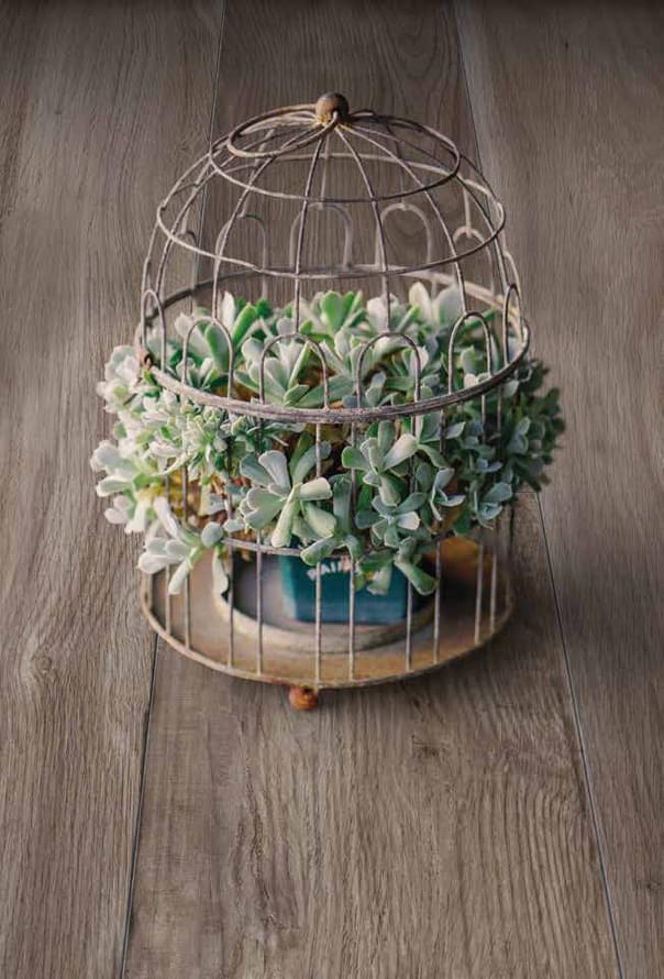 керамогранит фабрики Magica коллекция Libeccio