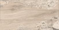 Плитка Magnifica Fossil Beige 20x120 см, поверхность полированная