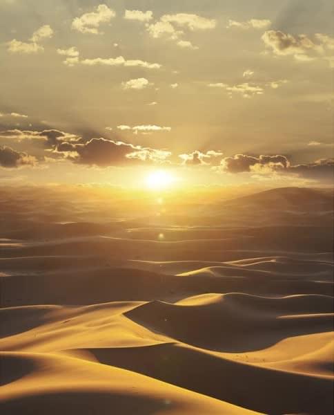 Marburg Dune 32545 2.7x212