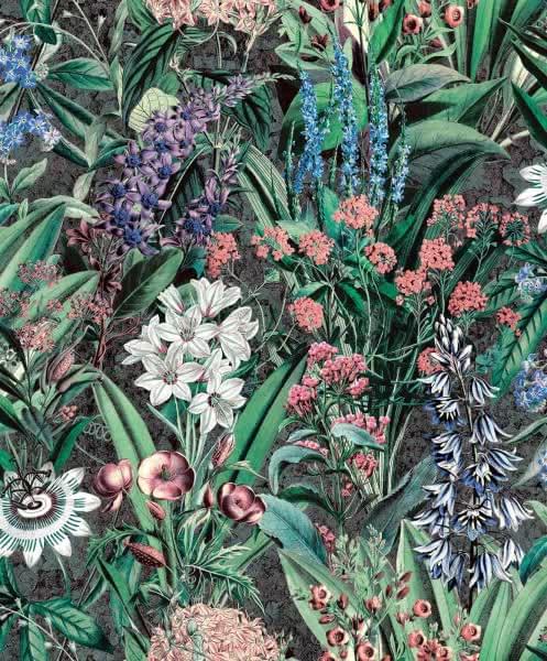 Marburg Flora 47475 10.05x53