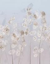 Marburg Memoria 34306 270м x 212см поверхность матовая