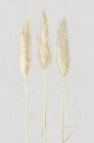 Marburg Natural Opulence 33270 330м x 70см поверхность матовая