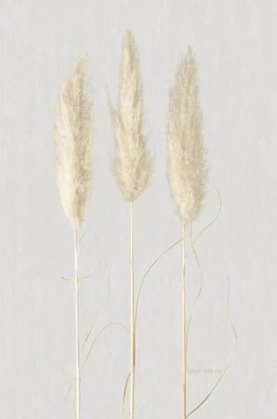 Marburg Natural Opulence 33270 330м x 70см поверхность матовая