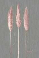 Marburg Natural Opulence 33271 330м x 70см поверхность матовая