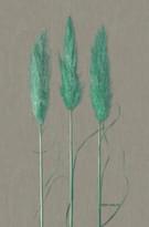 Marburg Natural Opulence 33272 330м x 70см поверхность матовая