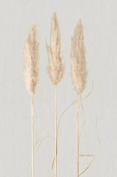 Marburg Natural Opulence 33280 330м x 70см поверхность матовая