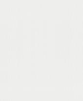 Marburg Patent Decor Laser 9034 10.05м x 53см поверхность матовая