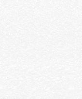 Marburg Patent Decor Laser 9234 25м x 106см поверхность матовая