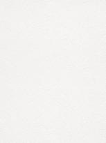 Marburg Patent Decor Laser 9245 25м x 106см поверхность матовая