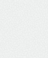 Marburg Patent Decor Laser 9548 25м x 106см поверхность матовая