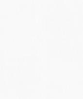 Marburg Patent Decor Laser 9557 25м x 106см поверхность матовая