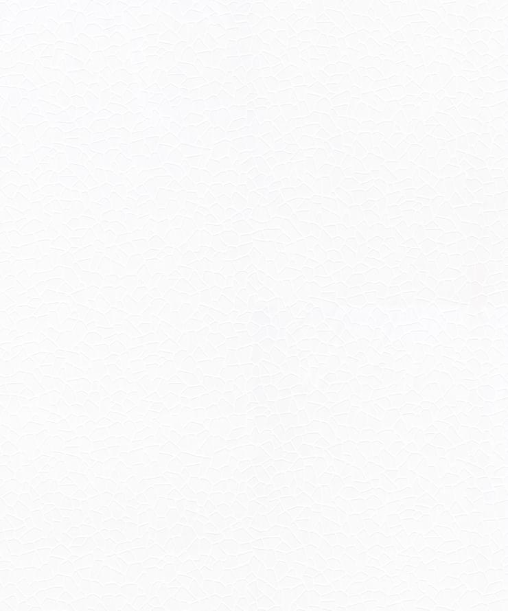 Marburg Patent Decor Laser 9563 25м x 106см поверхность матовая