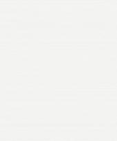 Marburg Patent Decor 3003 10.05м x 53см поверхность матовая