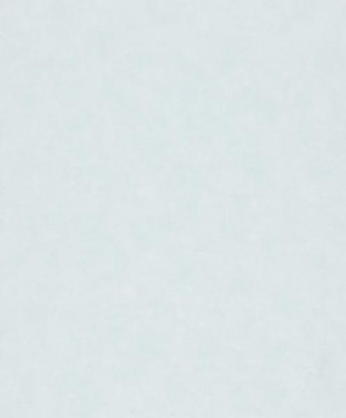 Marburg Shades Iconic 34414 10.05м x 53см поверхность матовая