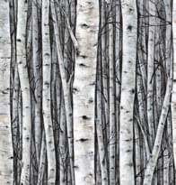 Marburg Smart Art Selection 35395 27м x 159см поверхность