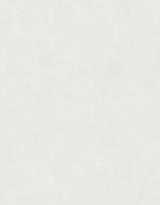 Marburg Surface 30065 10.05м x 53см поверхность матовая