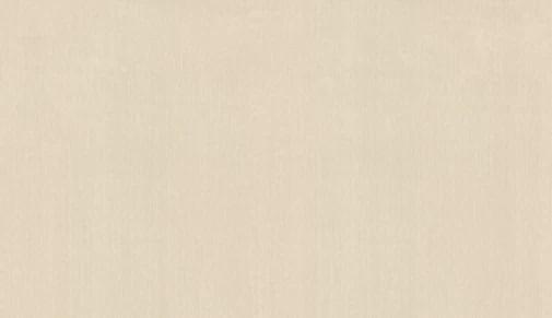 Marburg Surface 31974 10.05м x 53см поверхность матовая