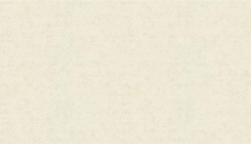 Marburg The Best 31972 10.05м x 106см поверхность матовая