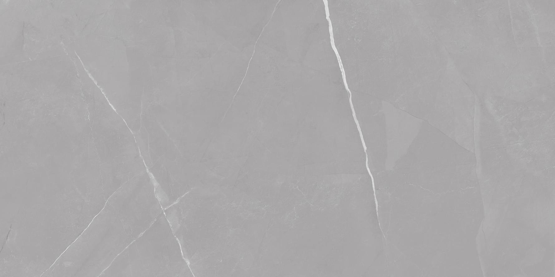 Marjan Tile Stone Pietra Active Gray 60x120