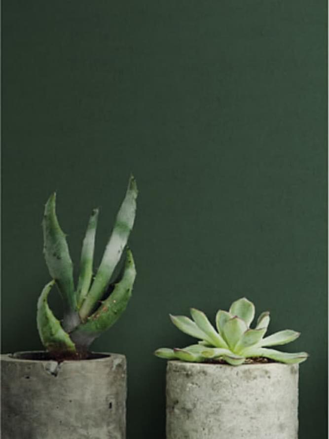 обои фабрики Midbec коллекция Effekt