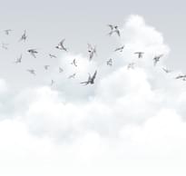 Milassa Ambient Volume 3 006 Spring Swallows 4 полотна 3x400 см поверхность матовая