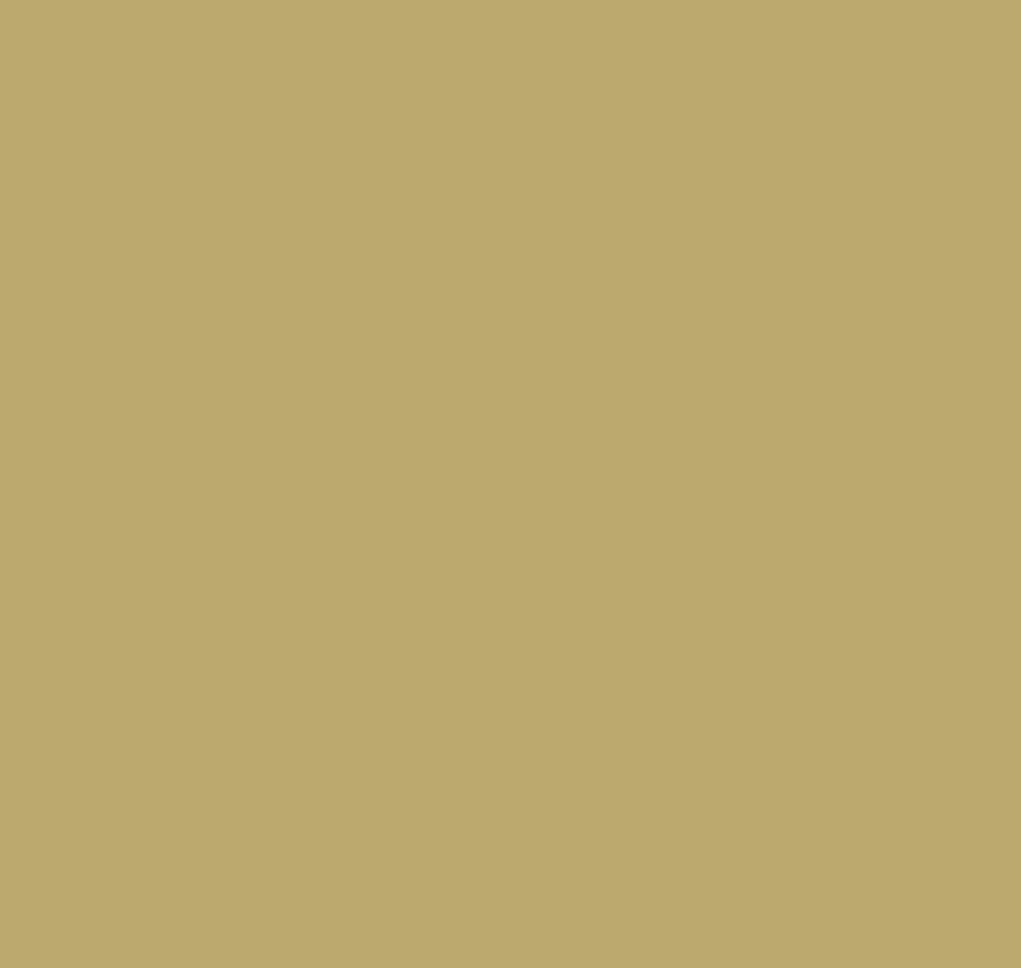 Milassa Ambiplain Volume 2 AM3 005/1 Plain 10.05м x 100см поверхность матовая